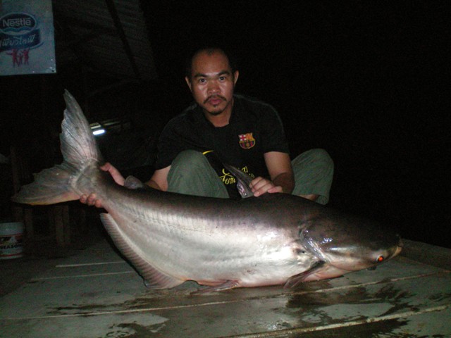 เมือวันพุธ (ฝากให้น้าเอ๋  มาแก้มือนะ)