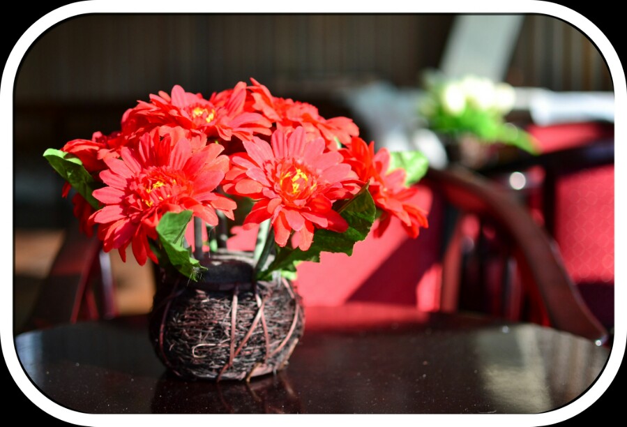 D3100 / AF-S DX Nikkor 35mm f/1.8G
VIVID Speed1/2500 ISO200 f1.8 No Flash
เจอดอกไม้หน้าที่พัก แสงแ