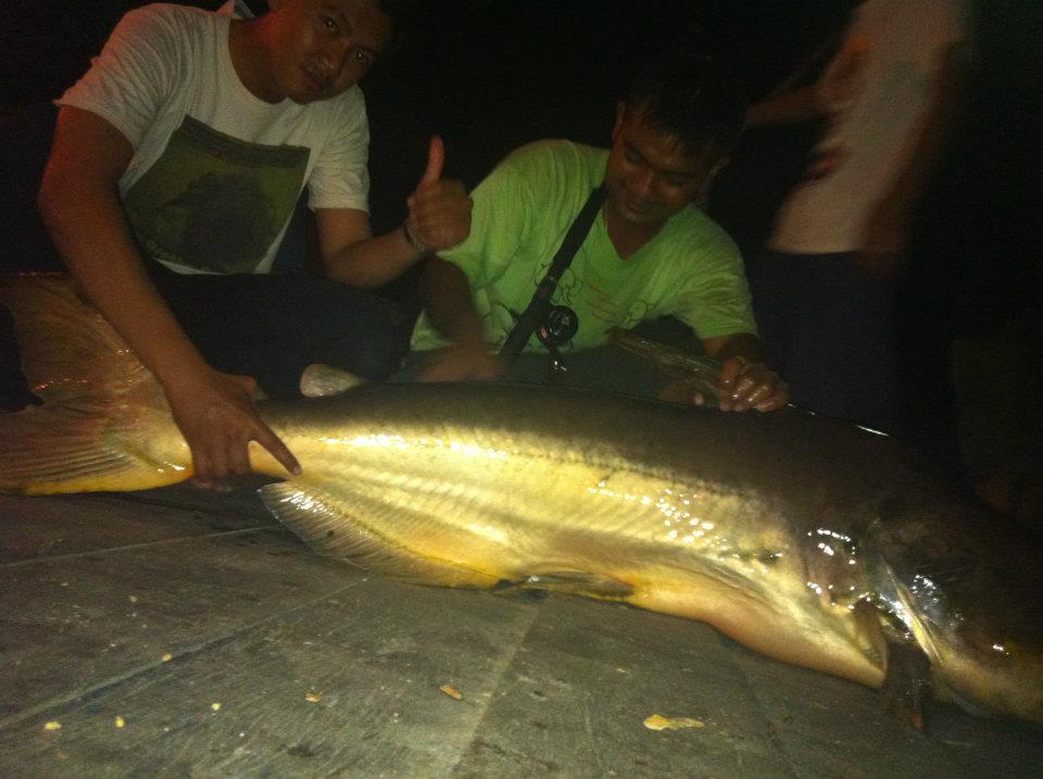 นานๆได้ที่ วิลลี่ตัวที่5ครับตัวนี้