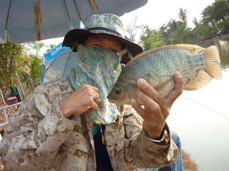 ผมก็สอยนินจาตัวเขื่องเป็นตัวสุดท้าย: