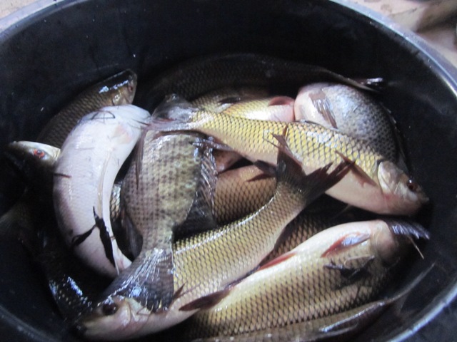 รวม
