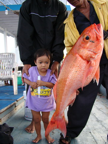 อ้าว ลุง แกล้งหลานอีกแล้ววววววว  :laughing: :laughing: :laughing: