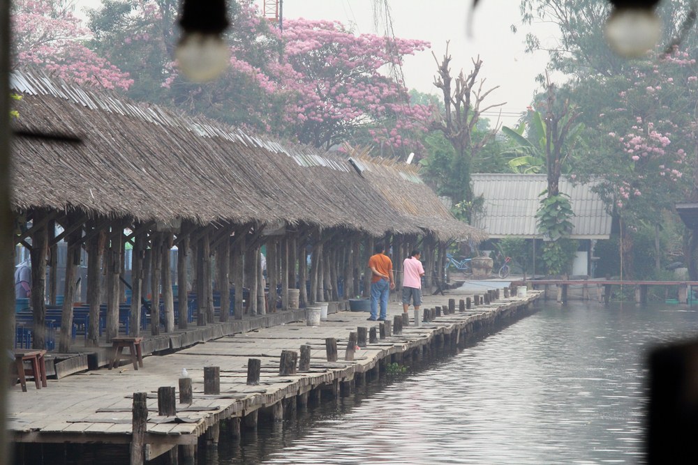 ลากันด้วยภาพนี้นะครับ 
บรรยากาศยามเช้าที่บึง เงียบสงบดีจัง ไม่เหมือนเมื่อตอนกลางคืนเลย
น้า ๆ ท่านใ