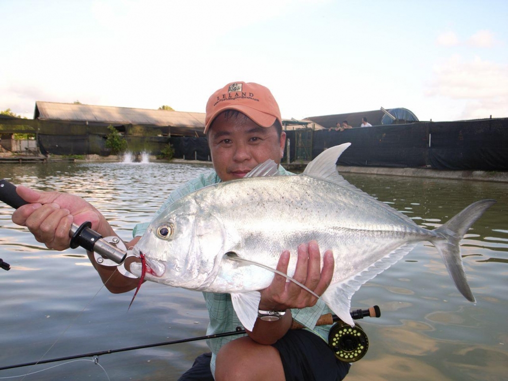 พูดไปใครจะเชื่อ FLY ตก GT :laughing: