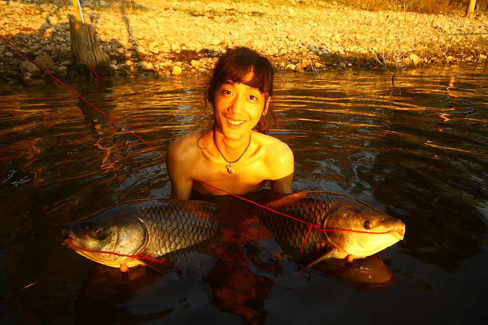 แสงสวยๆยามเย็น
