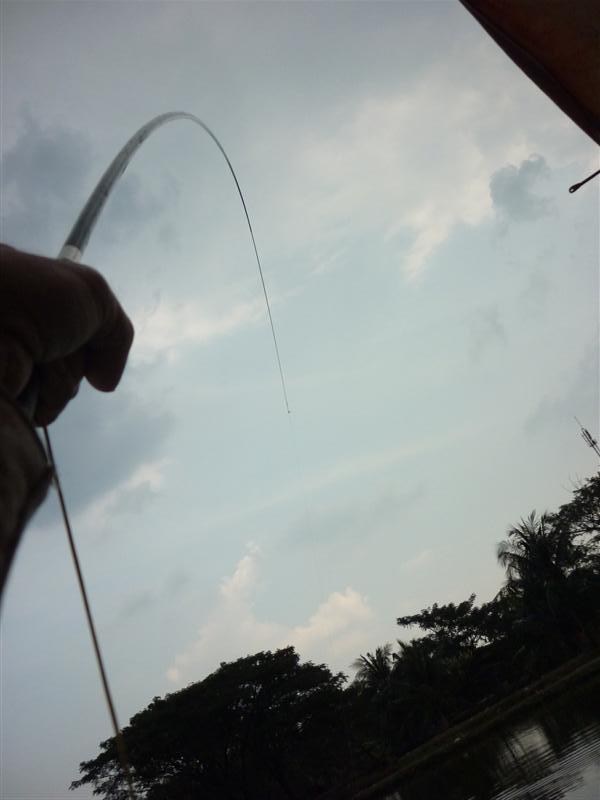 กำลังเมื่อยๆข้อมือเลย............

                                             อาการตอกทุ่นวืบวืบ