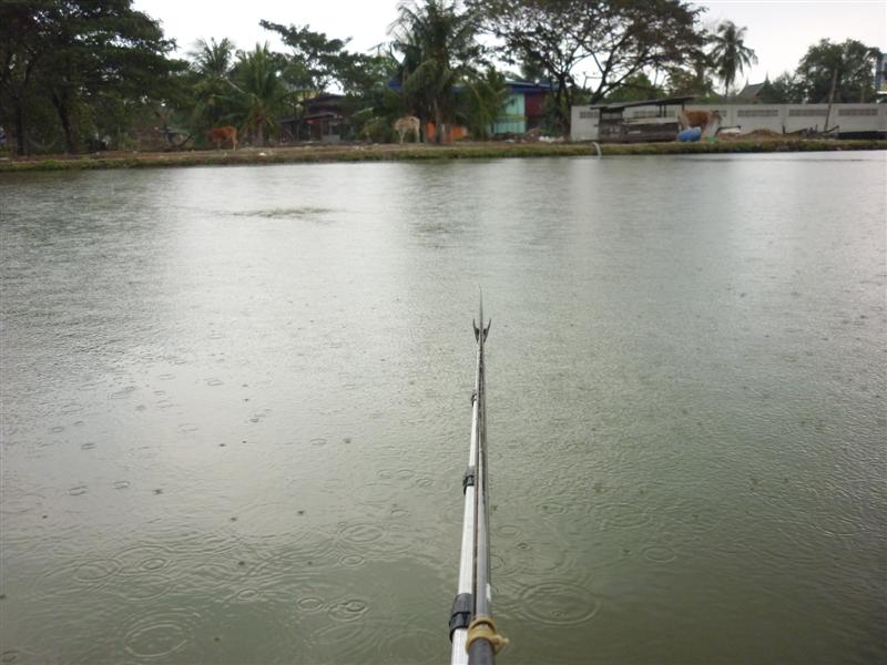 แล้วฝนก็รินลงมาชุดใหญ่ 