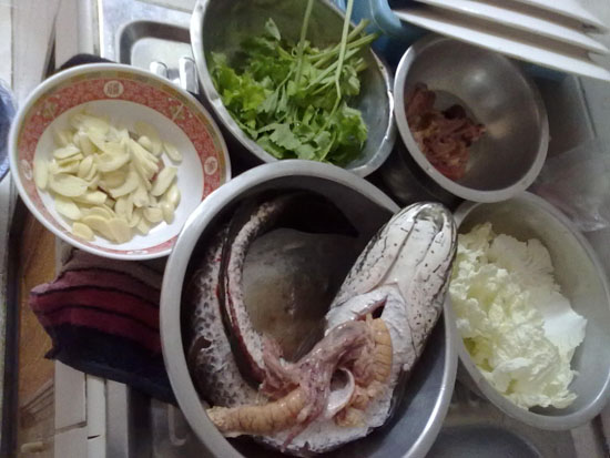 ช่อน หลังน้ำท่วมลพบุรี