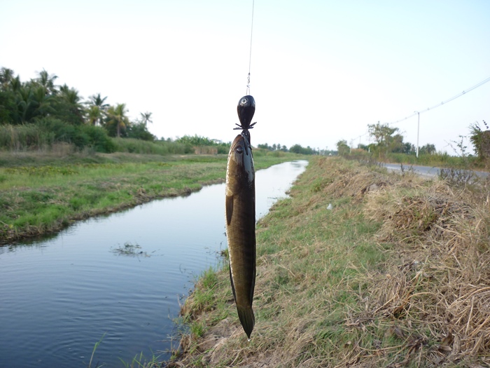 ดูภาพไปเลื่อยๆเลยคับ :grin: :grin: