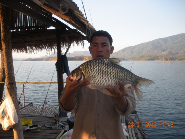 สักพักเจ้าตัวนี้มาอีก