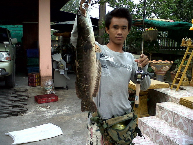 ขอบคุณ  น้า kongfishing  ที่เข้ามาแวะชมครับ

 :grin: :grin: :grin: :grin: :grin: