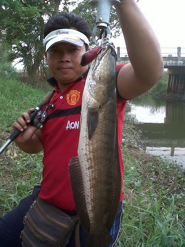 กัดสนั่น คันกะเด้ง