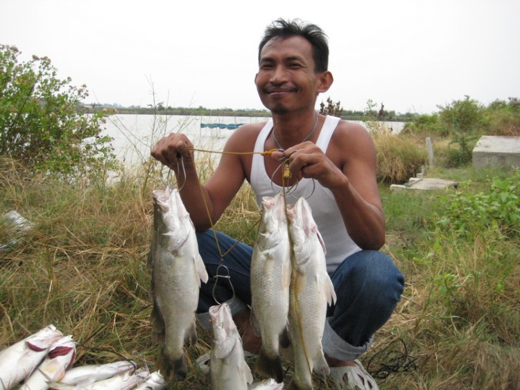 คนนี้ตื่นมาขอยกปลาถ่ายรูปเพื่อไปอัพ FaceBook เลย :laughing: :laughing: :laughing: