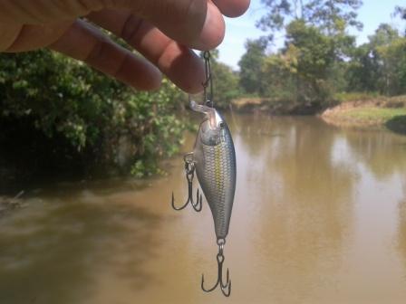 ผลการทดสอบเหยื่อ RAPALA