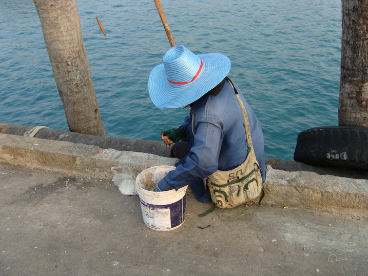 ช่วงรอเรือเข้าก็เลยเดินมาดู เซียนชิงหลิวตกปลากัน  :cheer: :cheer: