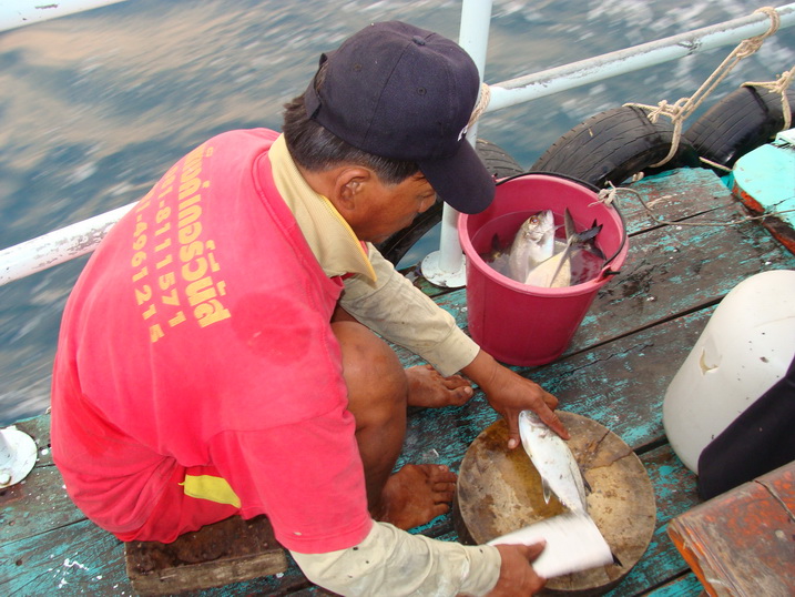 จ่าดับเอาปลามาทำข้าวต้มในมื้อเช้า  :umh: :umh: