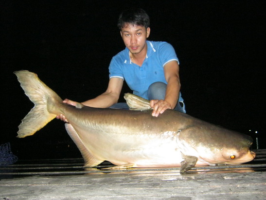 เริ่มแฮก! แล้ว :laughing: