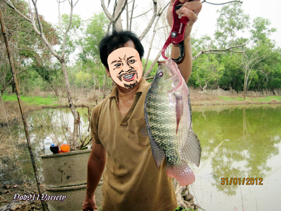 ไม่ทันไรก็วัดเจ้ายิลมาอีกตัวใหญ่เลยทีเดียว