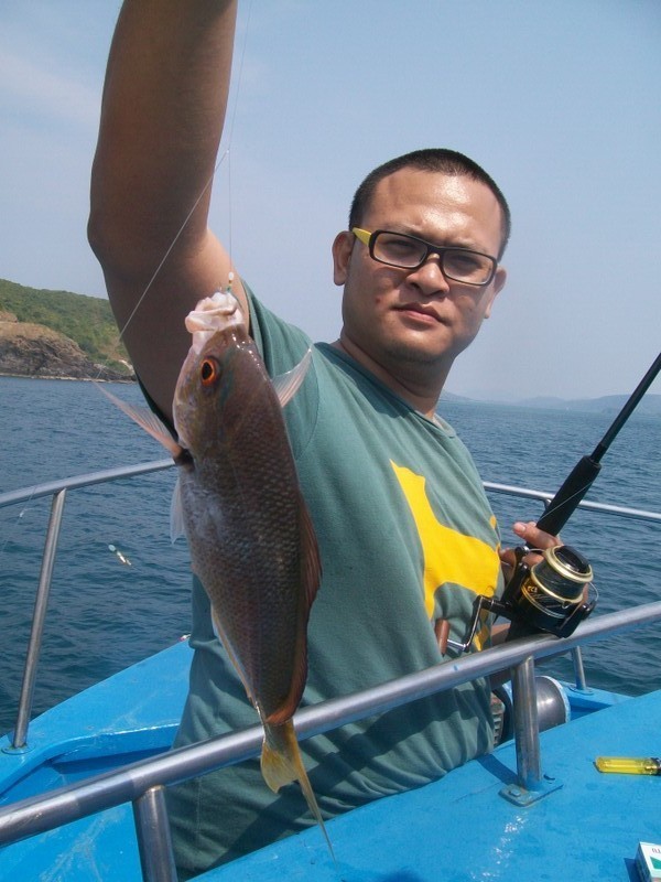 หัวเรือ น้าตือตกเหลืองปลาขวดขึ้นมาเรื่อยๆครับ   :love: :grin: