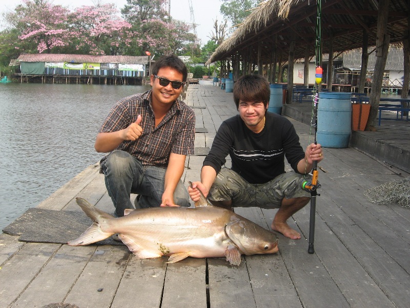 ขึ้นมาเเล้วครับ ตุ๊กกี้ของผม ตัวเเรกของที่นี้ในรอบปีเลย !!