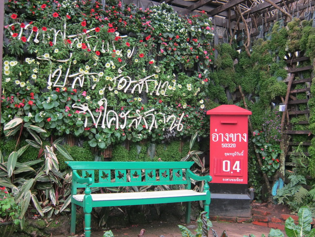 วัดตอน6ดมงเช้าก่อนเราขึ้นมา