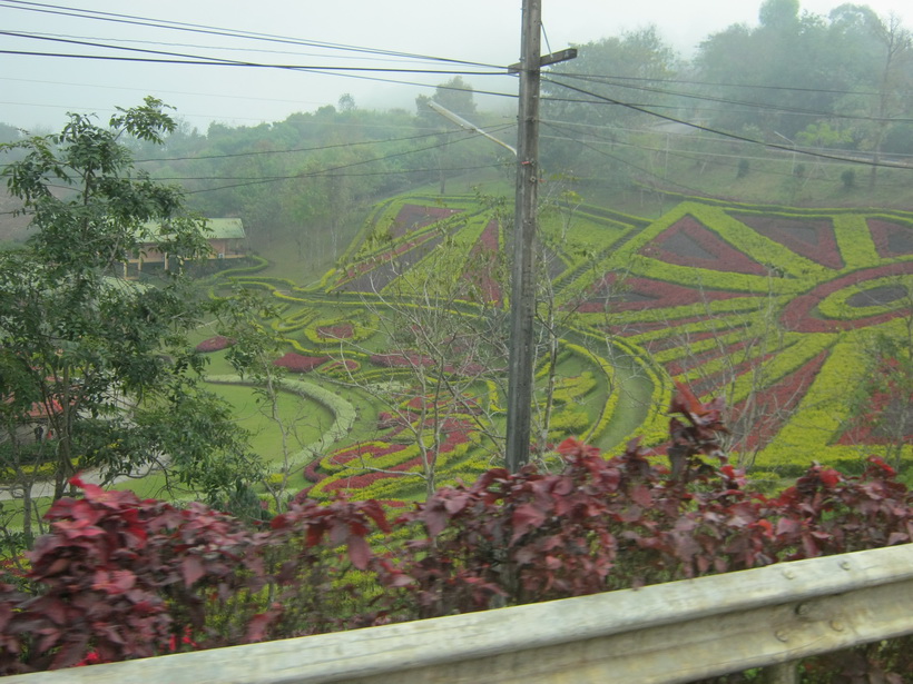 สวยไหม