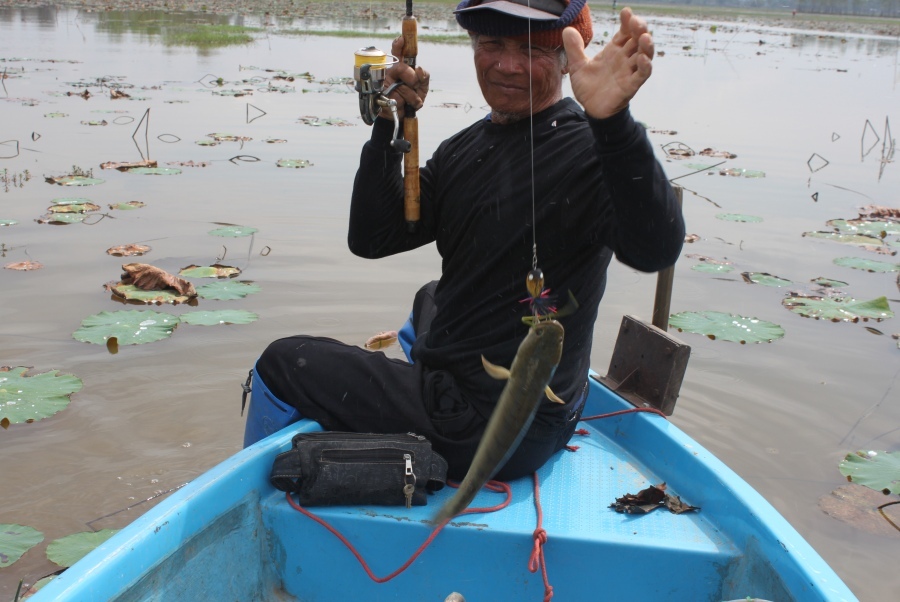 ยกขึ้นเรือเลยพ่อใหญ่   :laughing: :laughing: :laughing: :laughing: