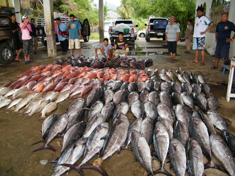 ขอโจ้งามๆ หน่อย :cheer: :cheer: :cheer: :cheer: :cheer: :cheer: :cheer: :cheer: :cheer: