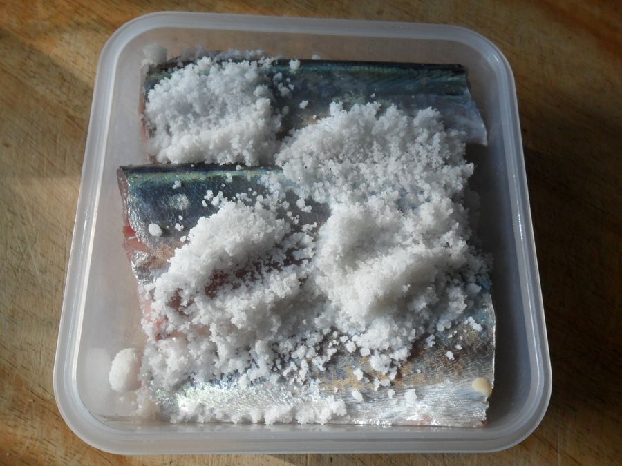 ถ้าเยอะจัดกินไม่ทันก็นี่เลย หั่นท่อนล้างทำความสะอาด ใส่กล่อง สาดเกลือลงไปเลยซัก1 ช้อนโต๊ะเค็มมากน้อย