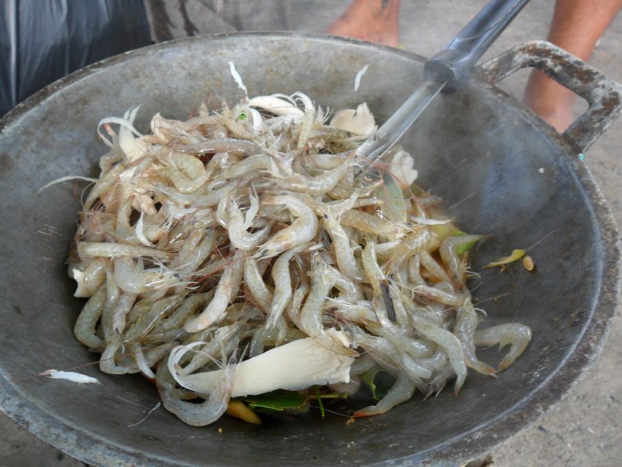 กุ้งเหยื่อครับ.....อ้าวๆๆๆ ...ทำไมไปอยู่ในกระทะ... :ohh: