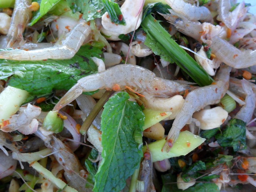 อันนี้พล่า...สุดๆ.....กุ้งสดๆตัวเล็กๆ เพิ่งรุนมาใหม่ๆบางตัวยังเป็นๆความสดหวานไม่ต้องบรรยาย :umh: :um