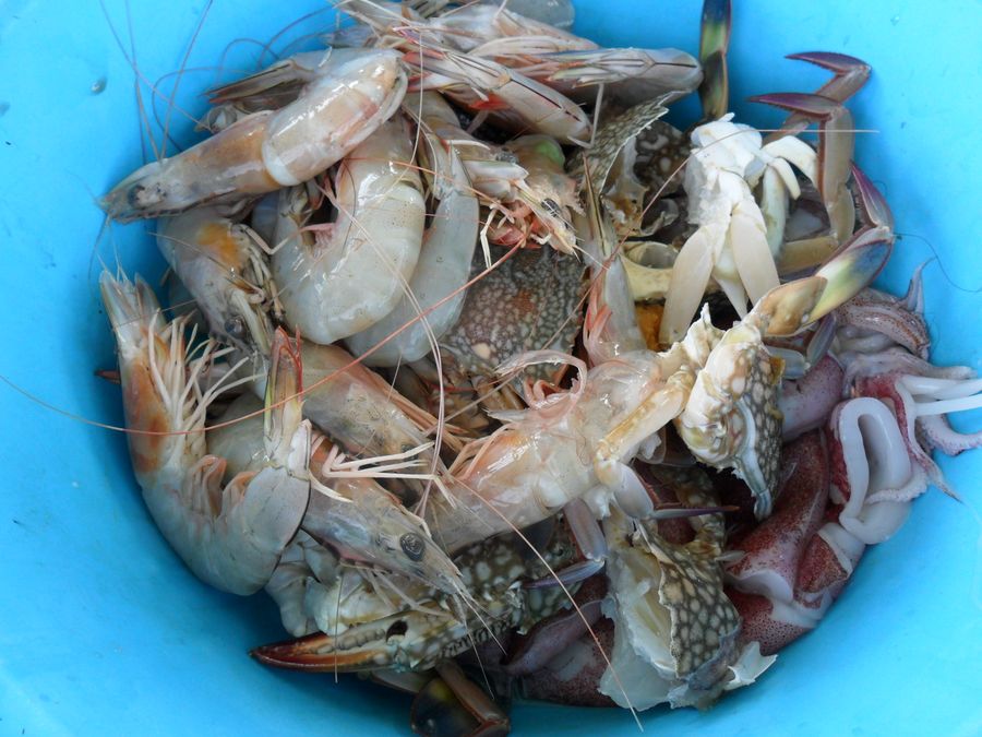 มีทั้งกุ้ง หอย ปู ปลา และหมึก :love: :love: