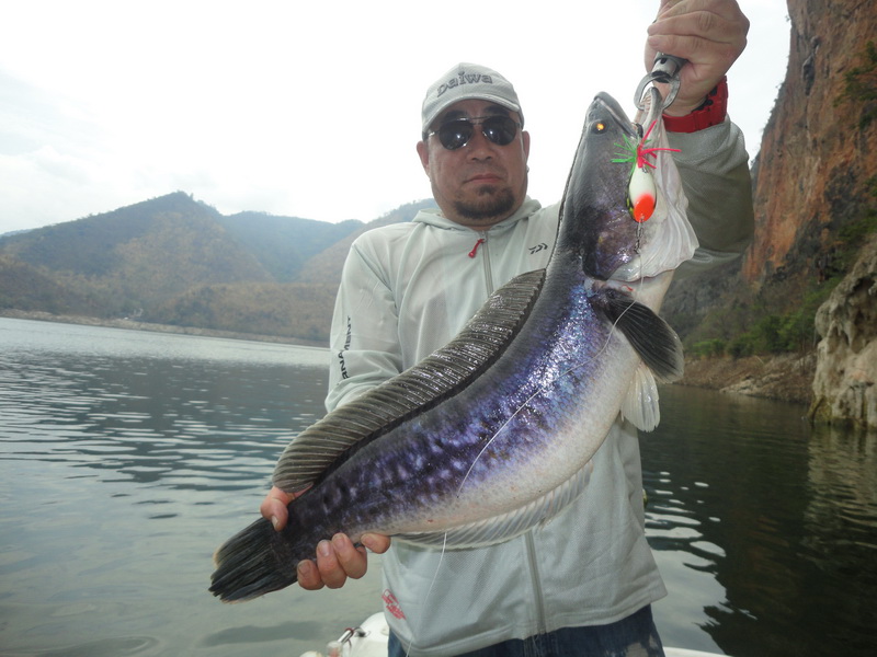 5 days 4 nights Lure fishing adventure Thailand
