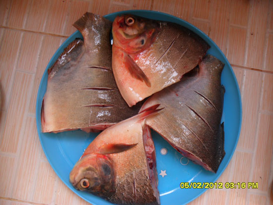 เอาไปนึ่งครับ :umh: :umh: