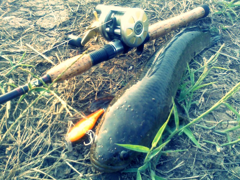 ถ่ายรูปคู่กับ...... Shimano CarDiff 200A รอกคู่ใจ
