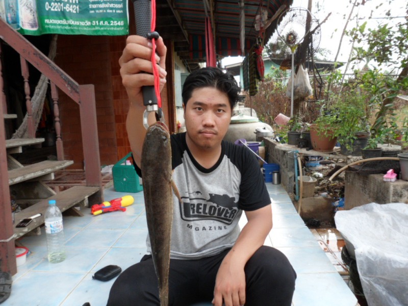 ปลาน้อยแต่เน้นรูป.....ถ่ายเข้ไปลูกเอ๋ย :laughing: :laughing: :laughing: :laughing: