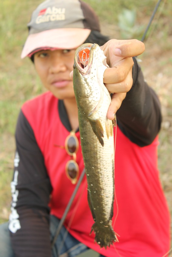 จัดอีกรูปครับ สำหรับน้าเบียร์ช่อนสะออน :grin: :grin: