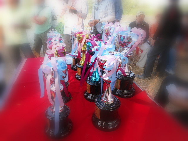 หมดเวลา ตามล่าหาปลาช่อน .......................... มารอผลกันเถอะ  :cool: :cool: :cool: :cool: :cool: