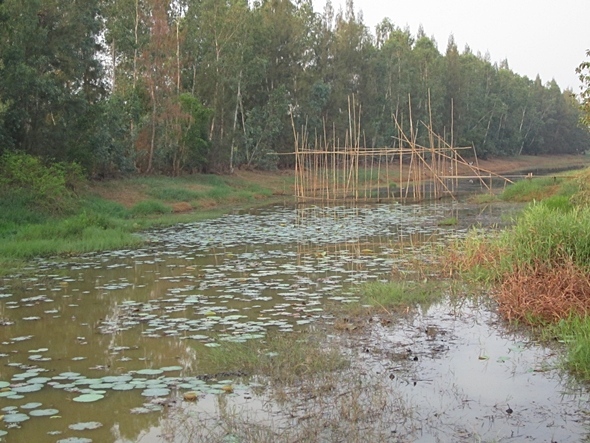 สภาพหมายครับ สวยปะ  





[q][i]อ้างถึง: คันคะเยอ posted: 06-02-2555, 10:38:46[/i]


 :cool