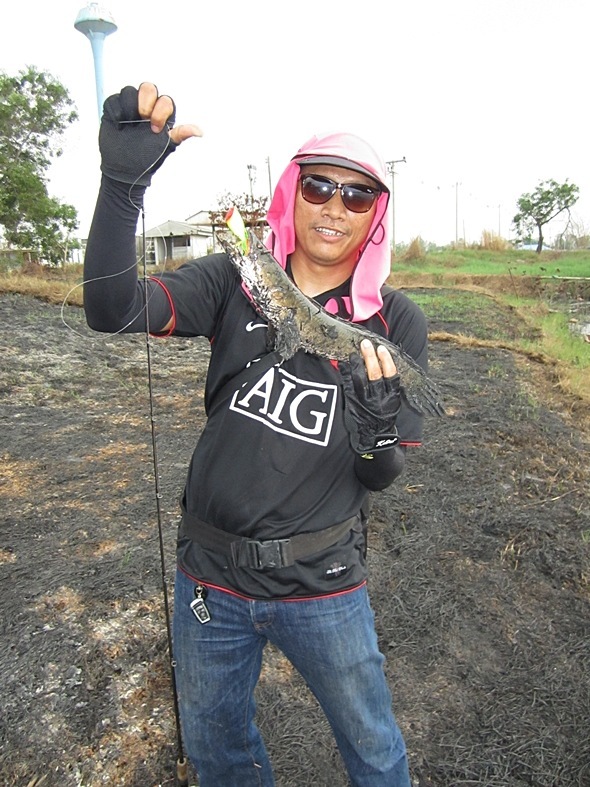 หันมาอีกที เอามาโชว์ ซะงั้น   กำอะดิ มัวแต่ถ่ายรูป ยังไม่ได้ขุดเลยอะ 