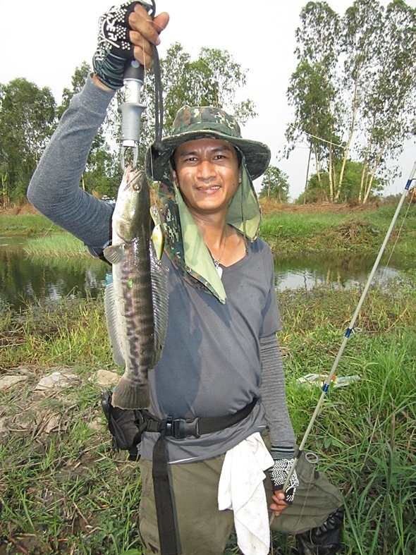 [q][i]อ้างถึง: firefishing posted: 06-02-2555, 11:51:02[/i]

ตามมารอยำท่านประธานโน๊ตปลาน้อย :laugh