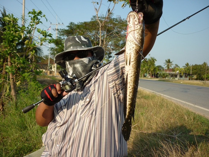 [q][i]อ้างถึง: tonamphawa posted: 06-02-2555, 19:52:13[/i]

 :cheer: :cheer: :cheer: :cheer:[/q]
