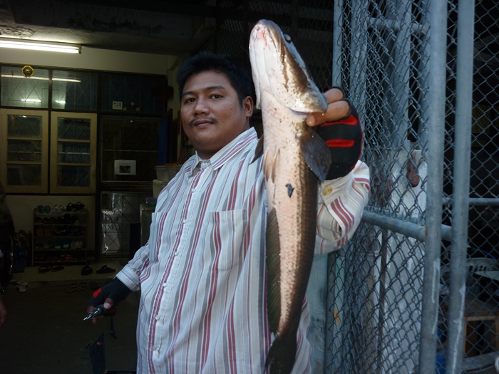 ขอบคุณคับน้า...Chuwong 
ขอบคุณคับน้า...เล็กสั้นวิเศษ 



 :cool: :cool: :cool: :cool: :cool: :c