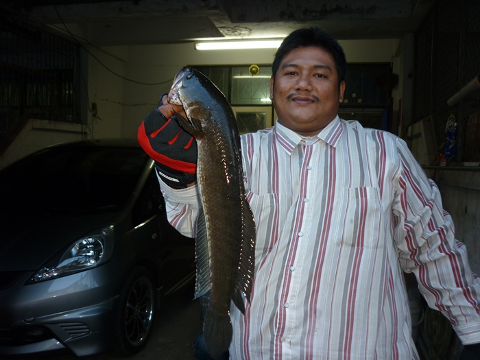 ตัวลองคับ 6ขีด :grin: