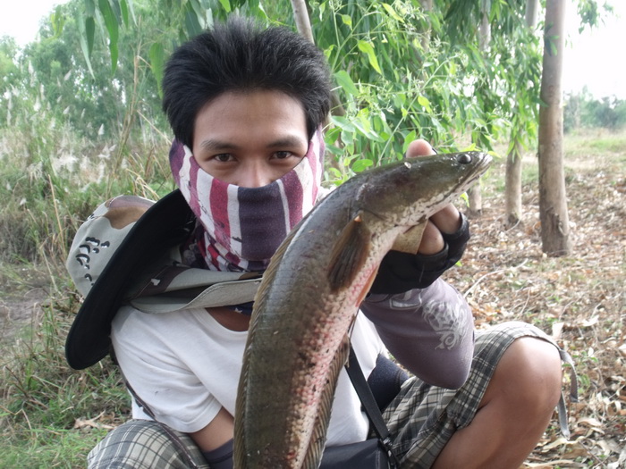 เลยขอลองครับ เจ๋
จริงด้วยครับผม