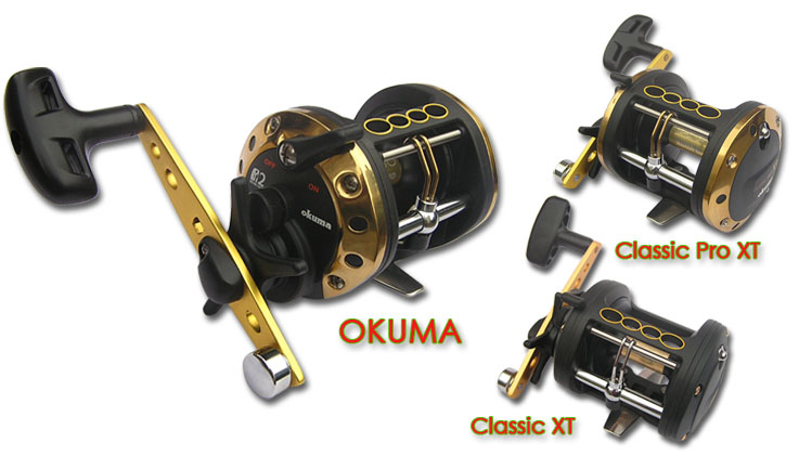  รอก OKUMA   Classic Pro XT

Bearing  2         Gear ratio   3.8:1

Wt 490      Line (lb/yd)  25