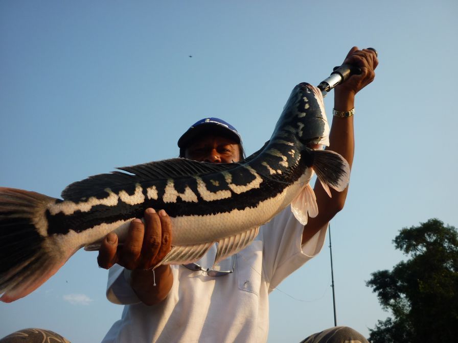 ถ่ายเองเหมือนเดิม