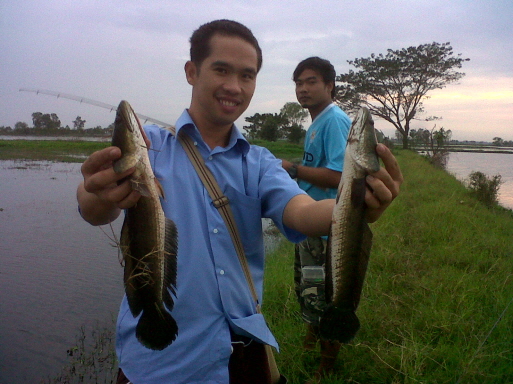 U.I.C.FISHING TEAM พาไปตีช่อน+ชะโด อ.อู่ทอง