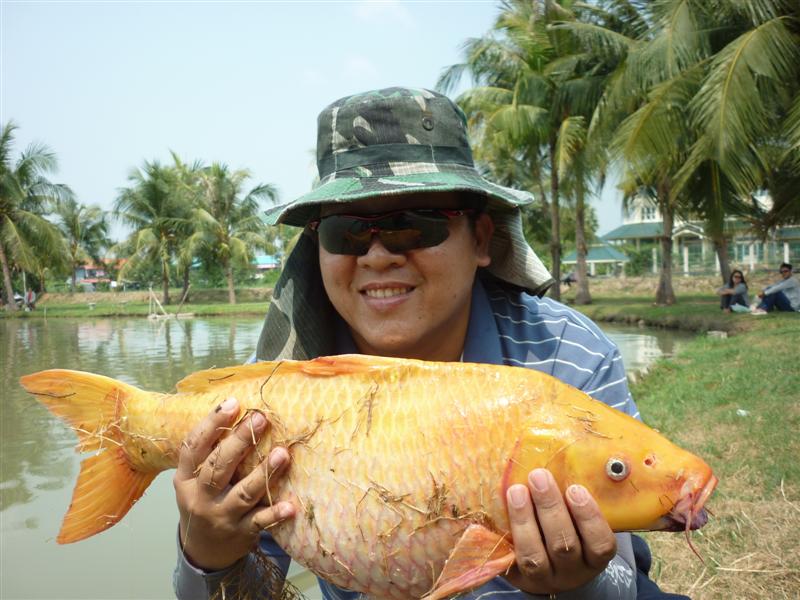 จัดให้อีกภาพ :smile: