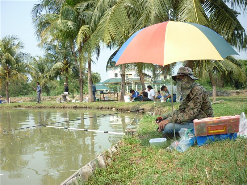 ผมเห็นปลาเขาขึ้นกันก็หนาแน่นทีเดียวครับ เสียงรอกงี้ร้องกันระงมรอบบ่อไปหมด แต่มันขึ้นกันอยู่กลางบ่อนี